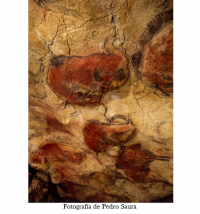 Ven a descubrir el primer arte de la humanidad